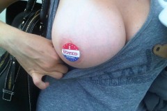 I Voted!  (Sticker Pasties)