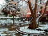 SG-Patio-Winter-Snow